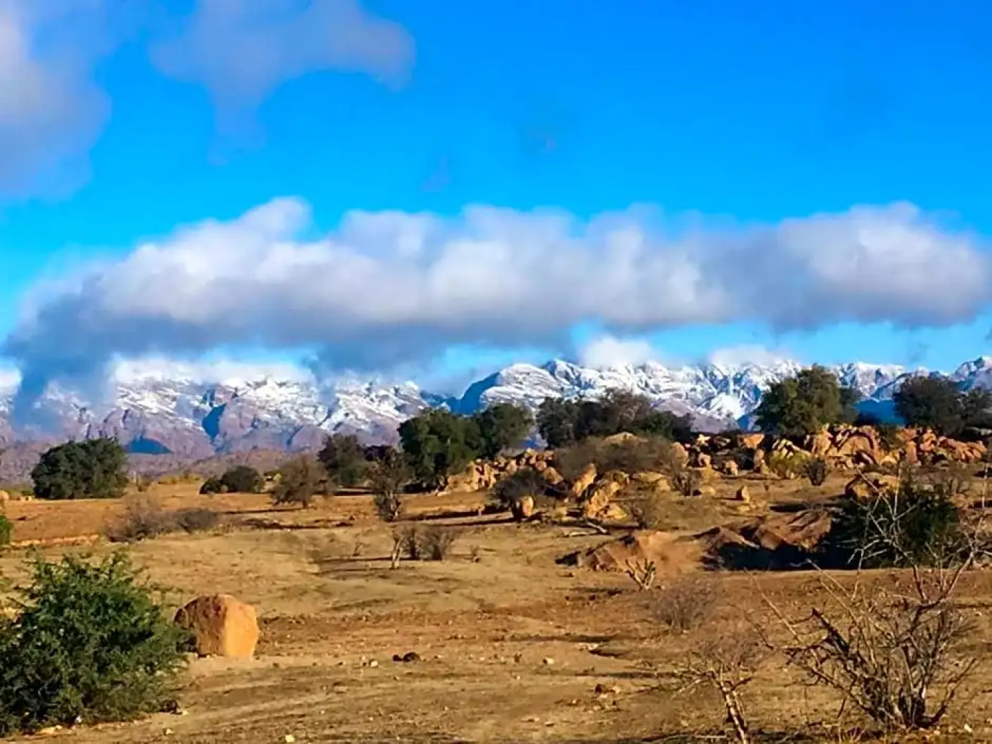 Hôtel la Fleur D Amanouz
