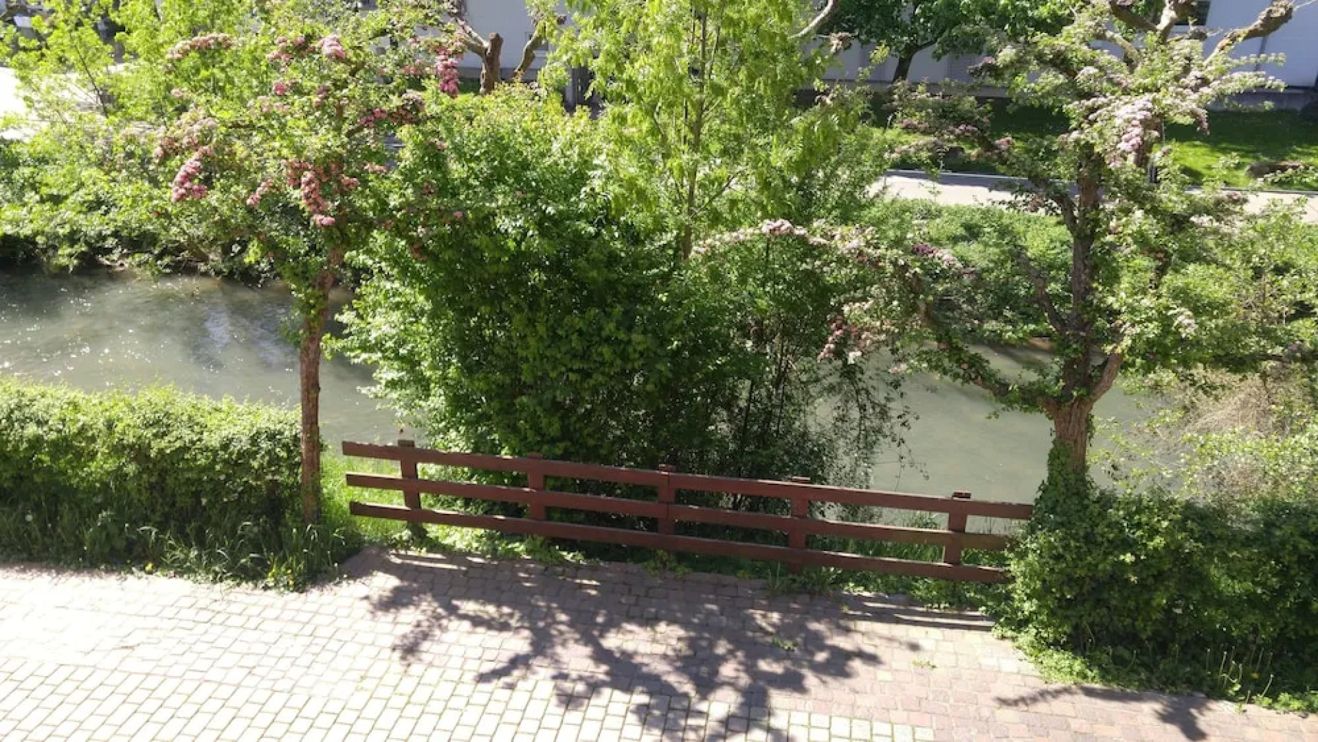 Alte Stadtmauer Apartment