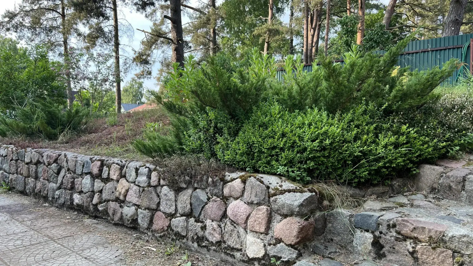 Коттедж Ветрово