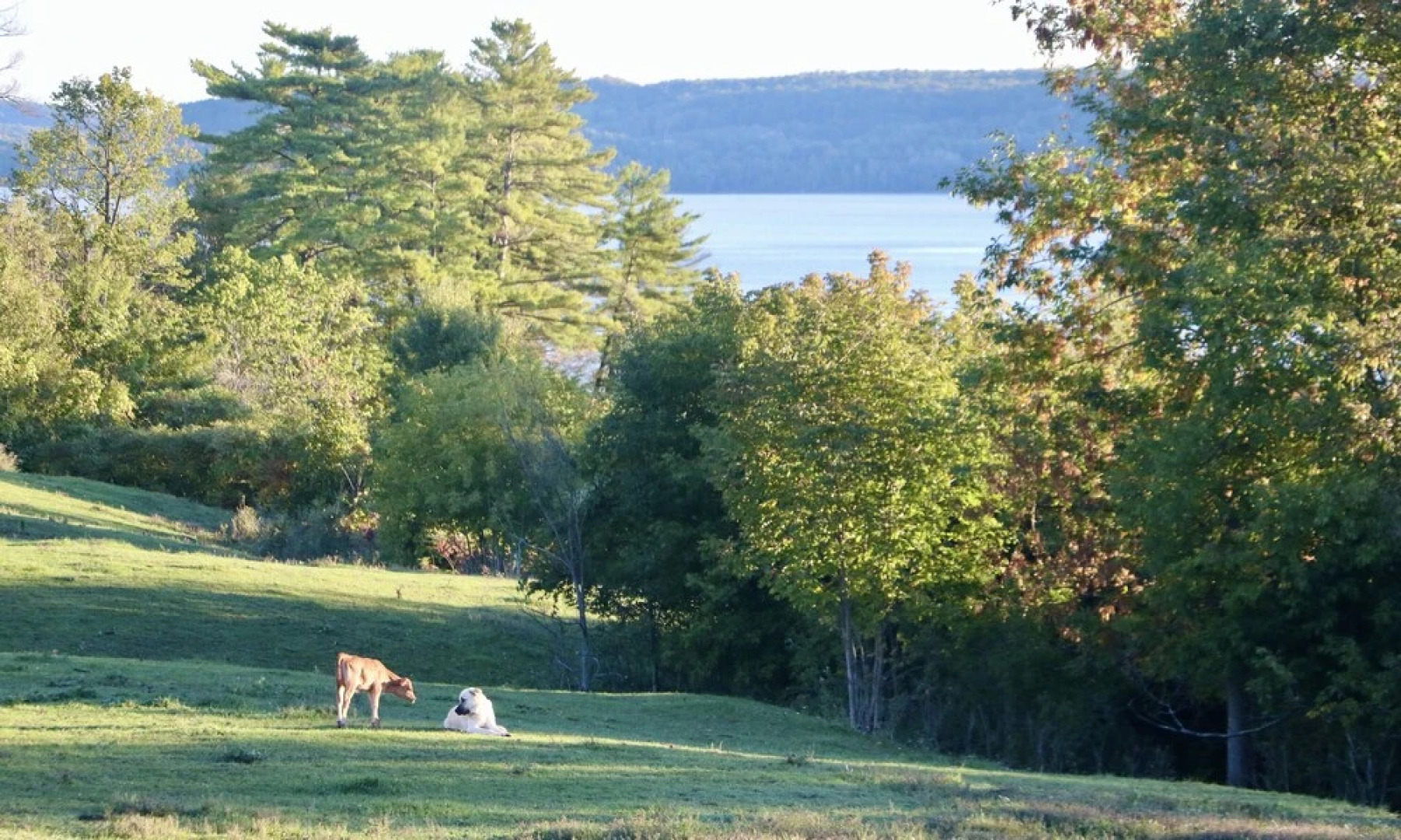 The Inn on Lake Champlain