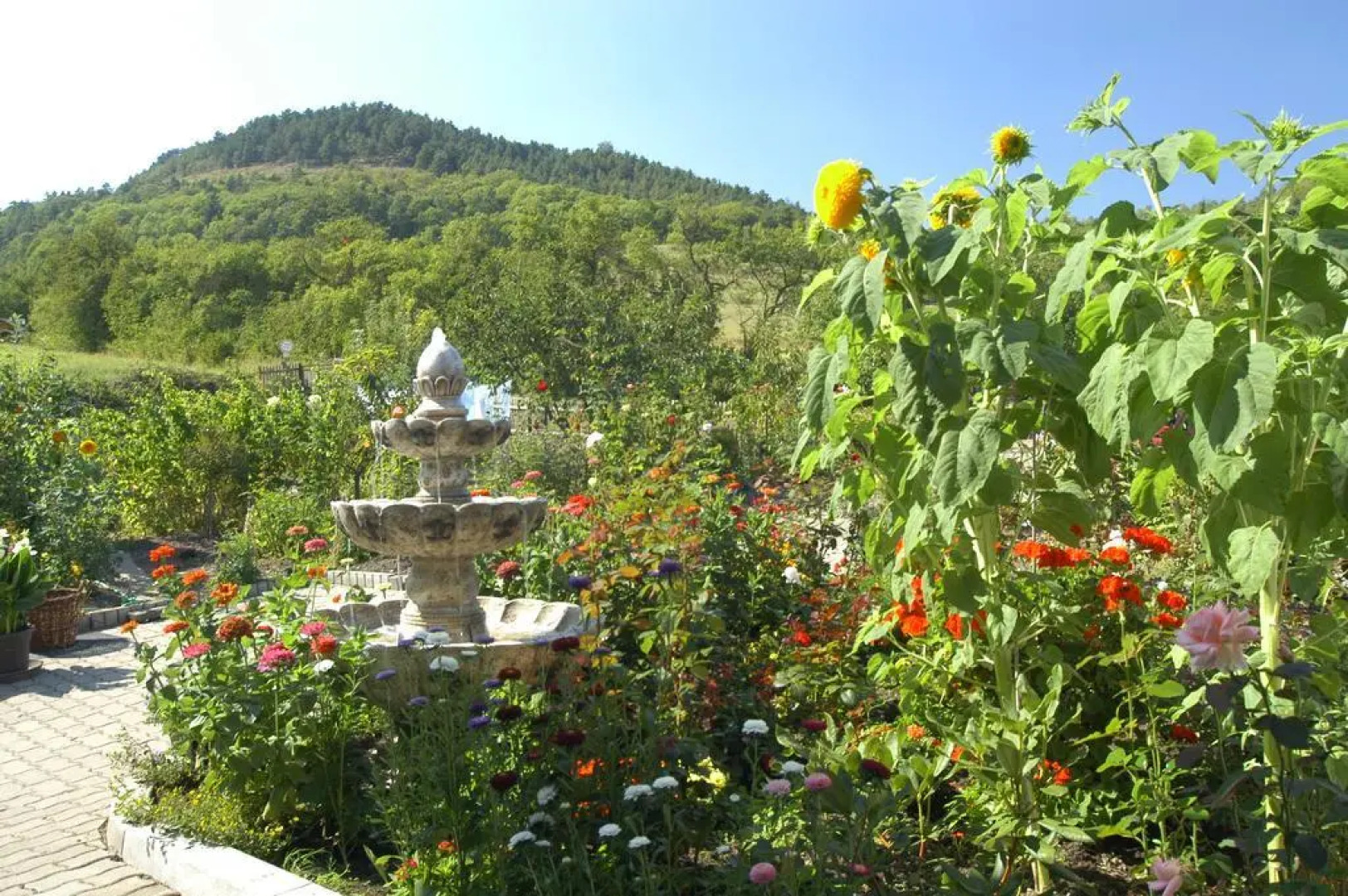 Hotel Haus Orchideental