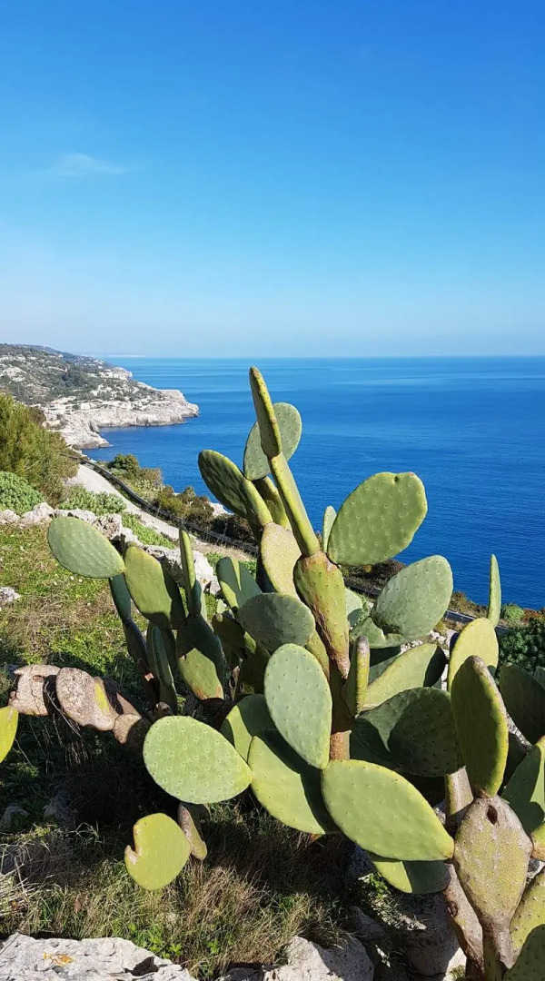 Volito Hotel - Rural Experience