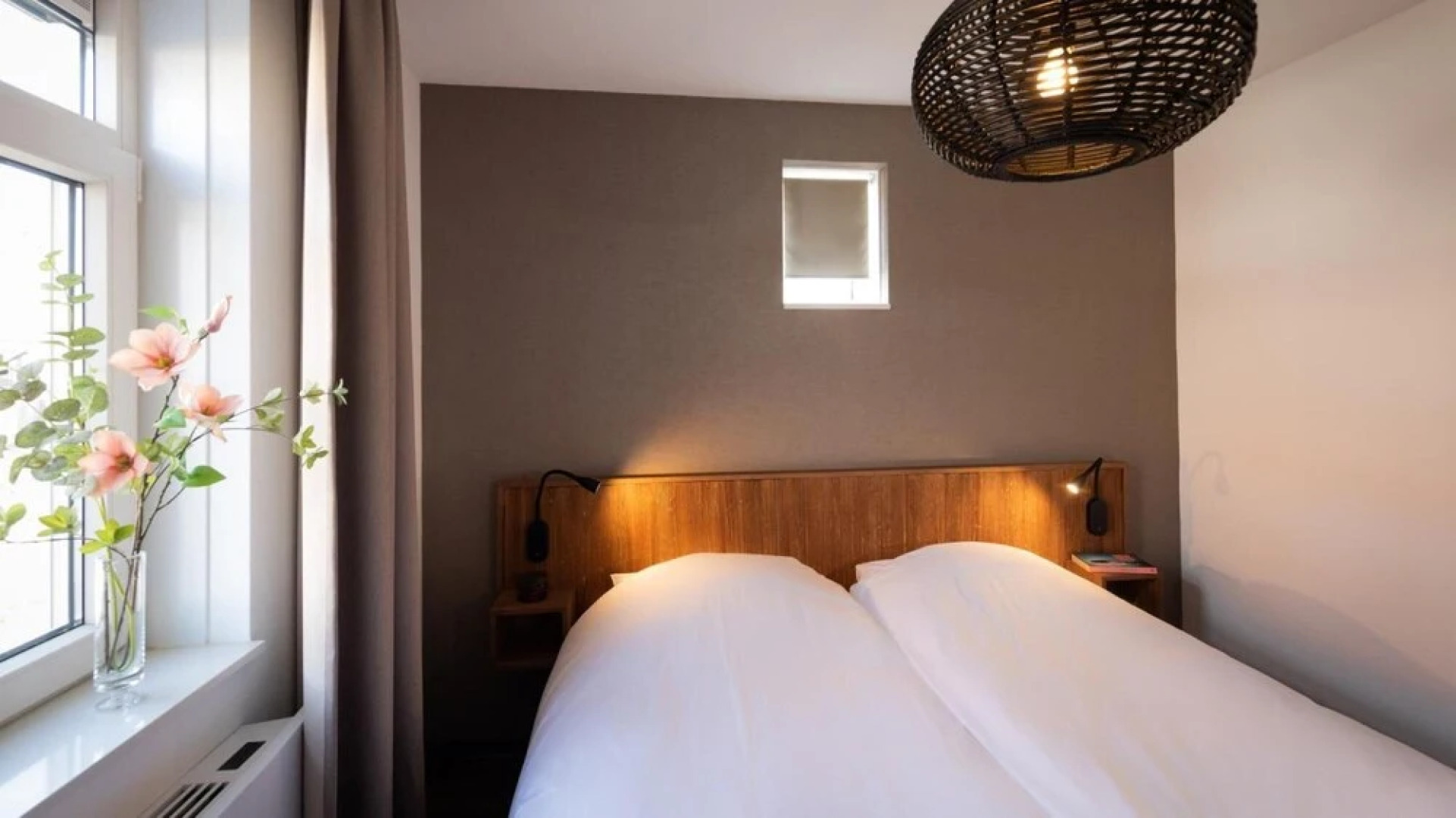 Premium Water 6p in Thorn