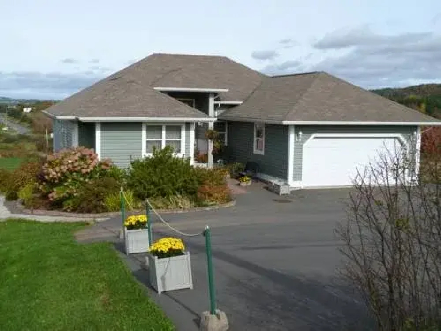 Rose and Thistle Bed and Breakfast