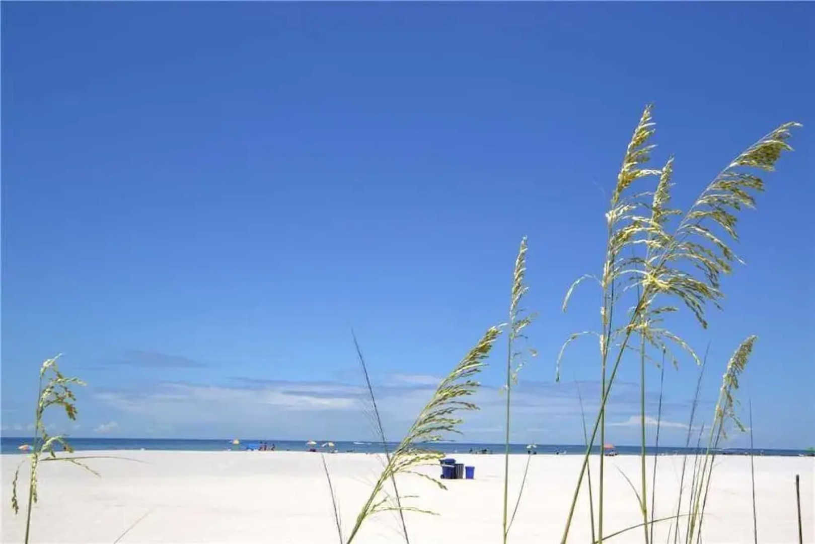 Waves 17 - One Bedroom Condo