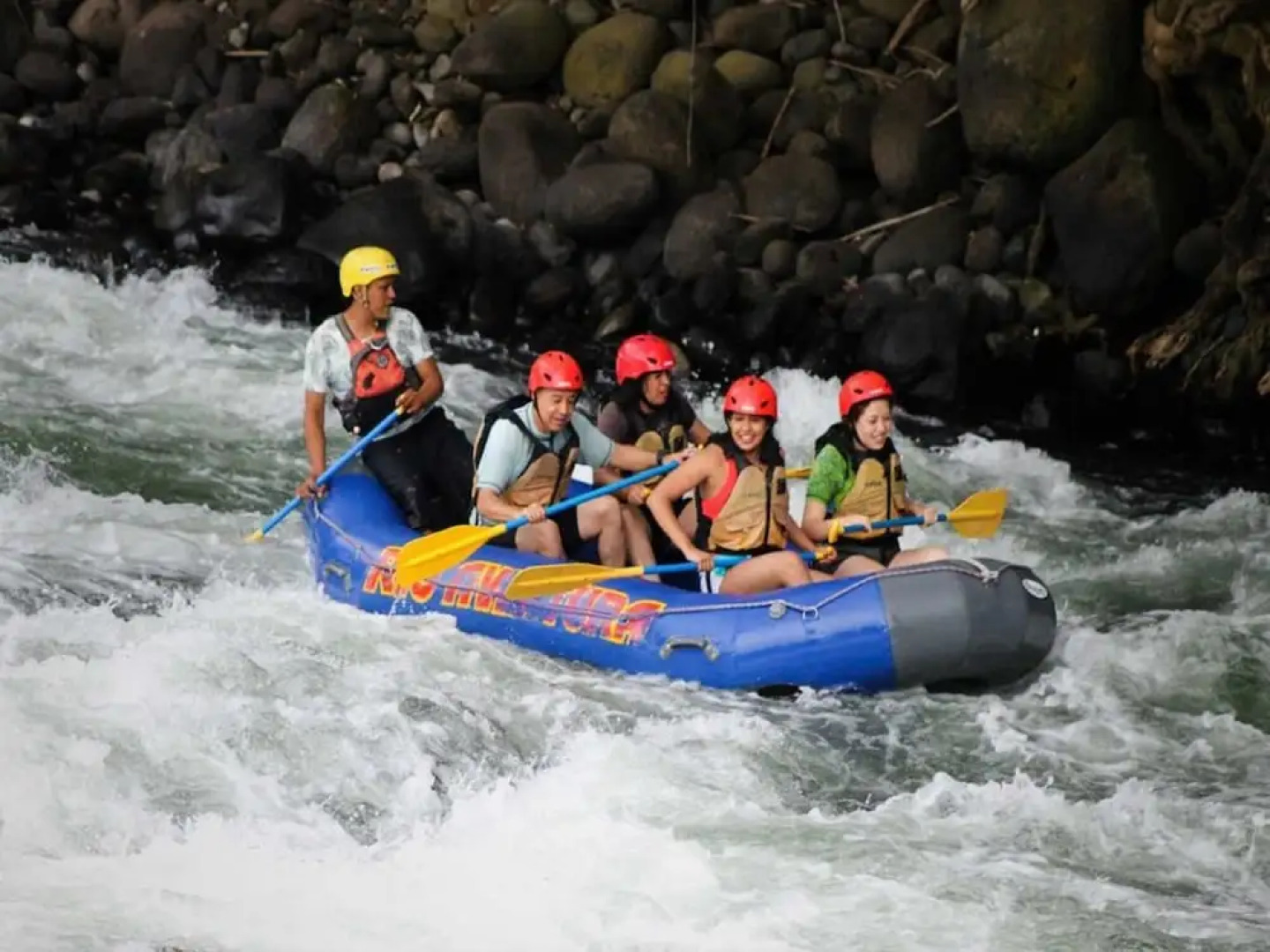 House of Ficus Banderilla,veracruz-mexico