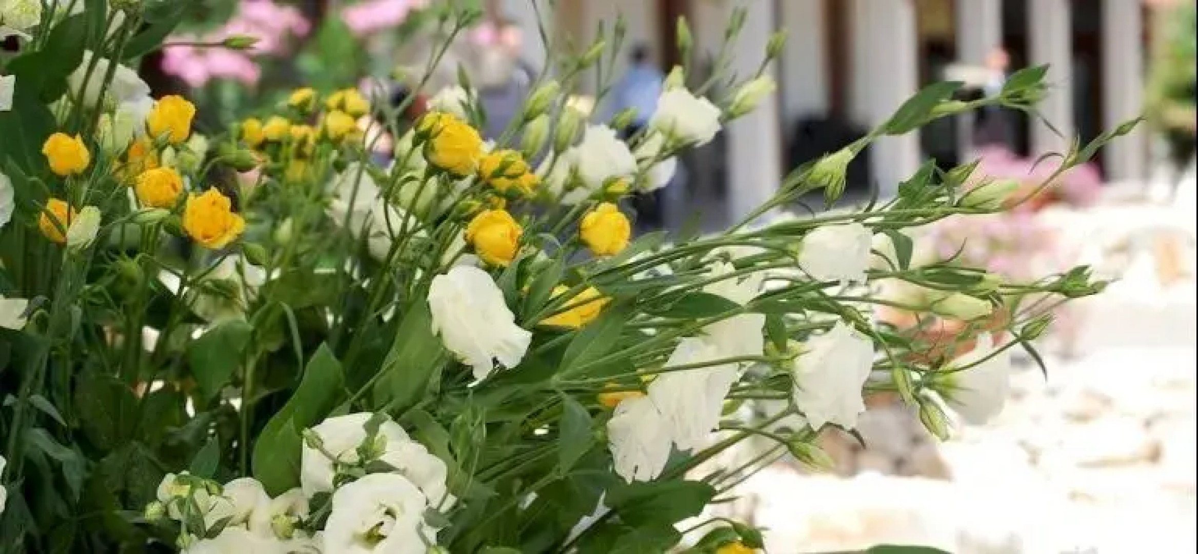 Masseria La Grande Quercia