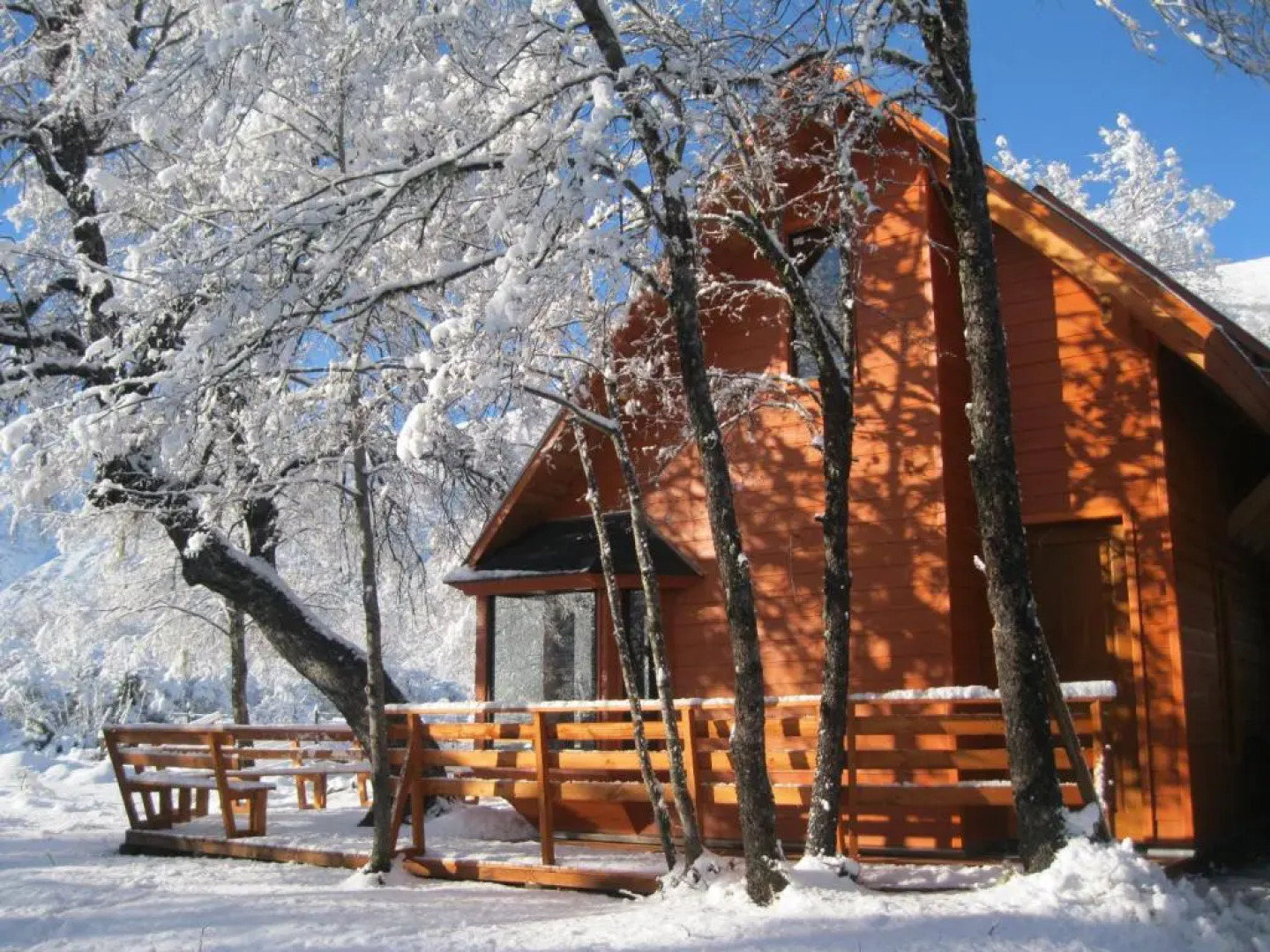 Cabañas Tronco Mayen