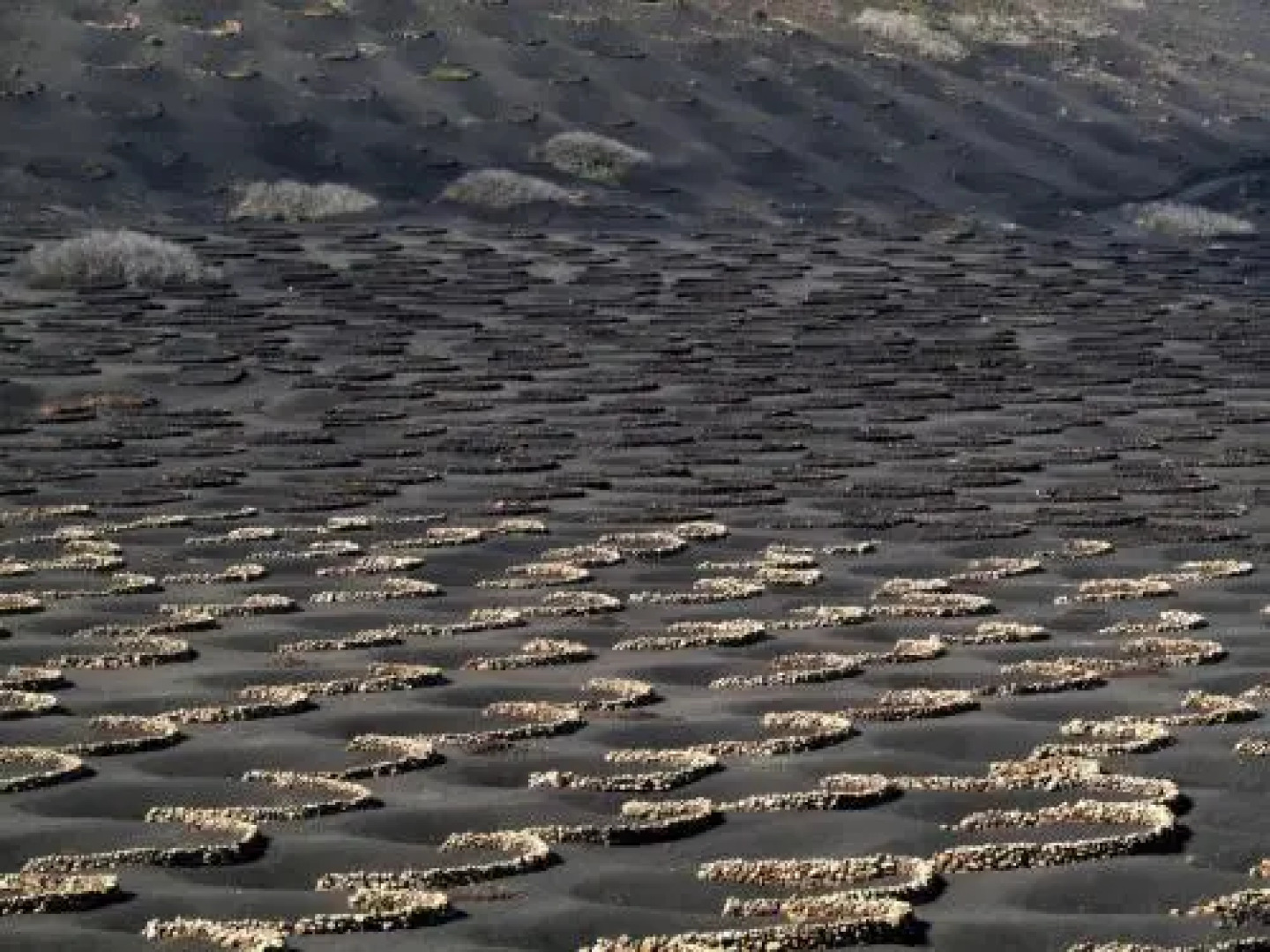 Casita Blanca, Jardín del Sol 1