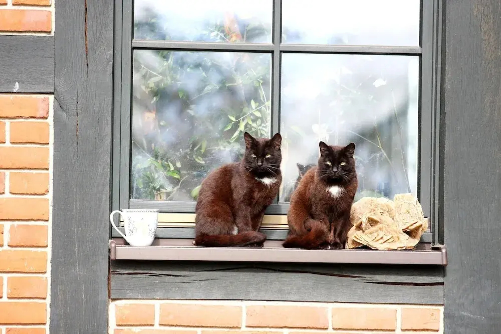 Terraced House by Gardersee Lake, Germany