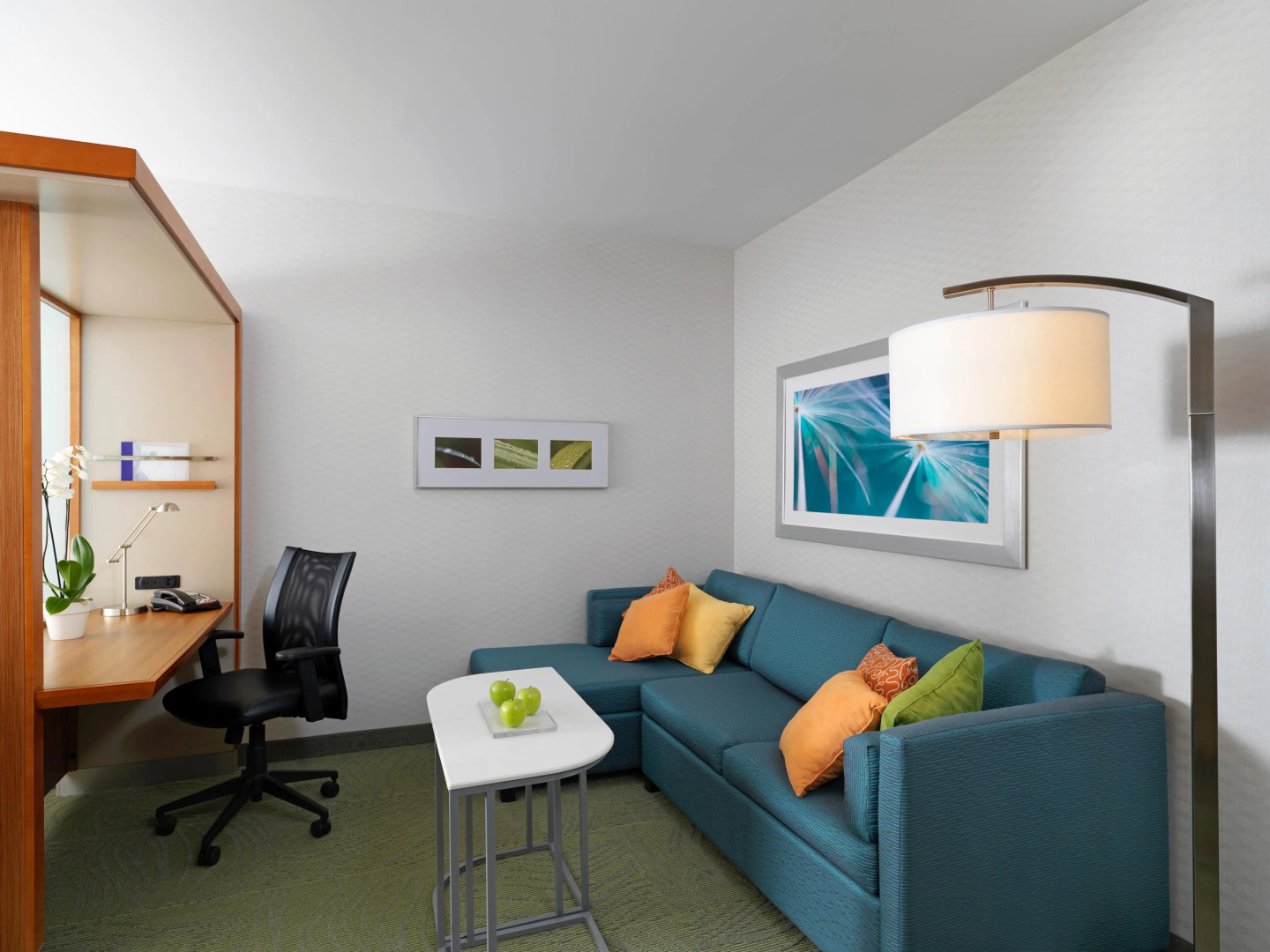 SpringHill Suites Orlando at FLAMINGO CROSSINGS® Town Center/Western Entrance