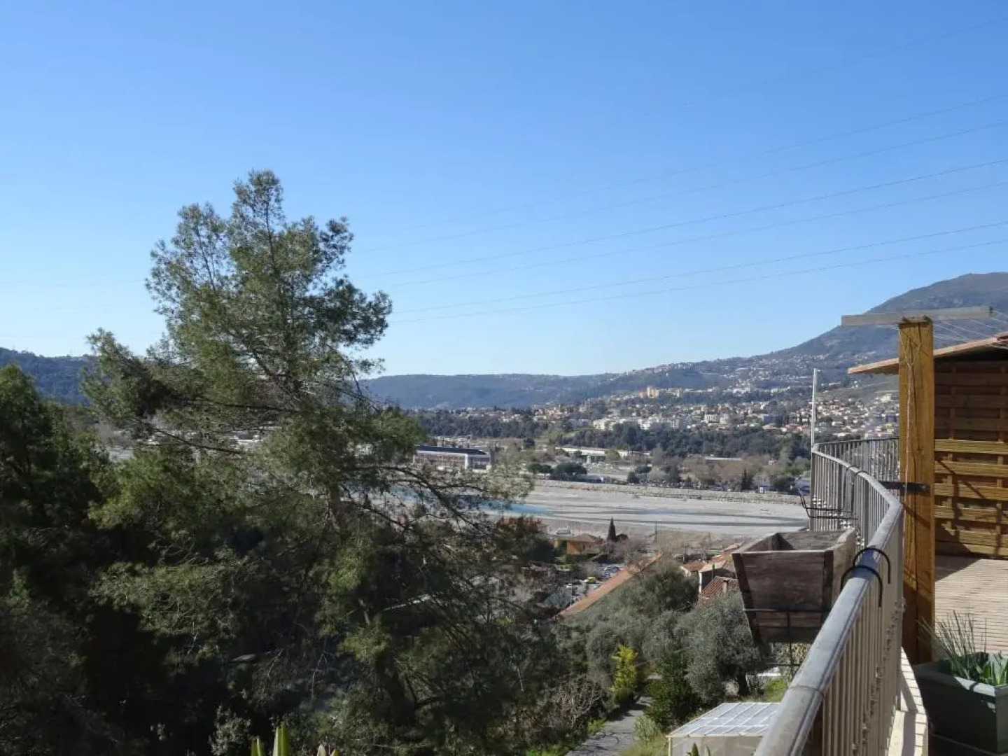La vigne sous les pins
