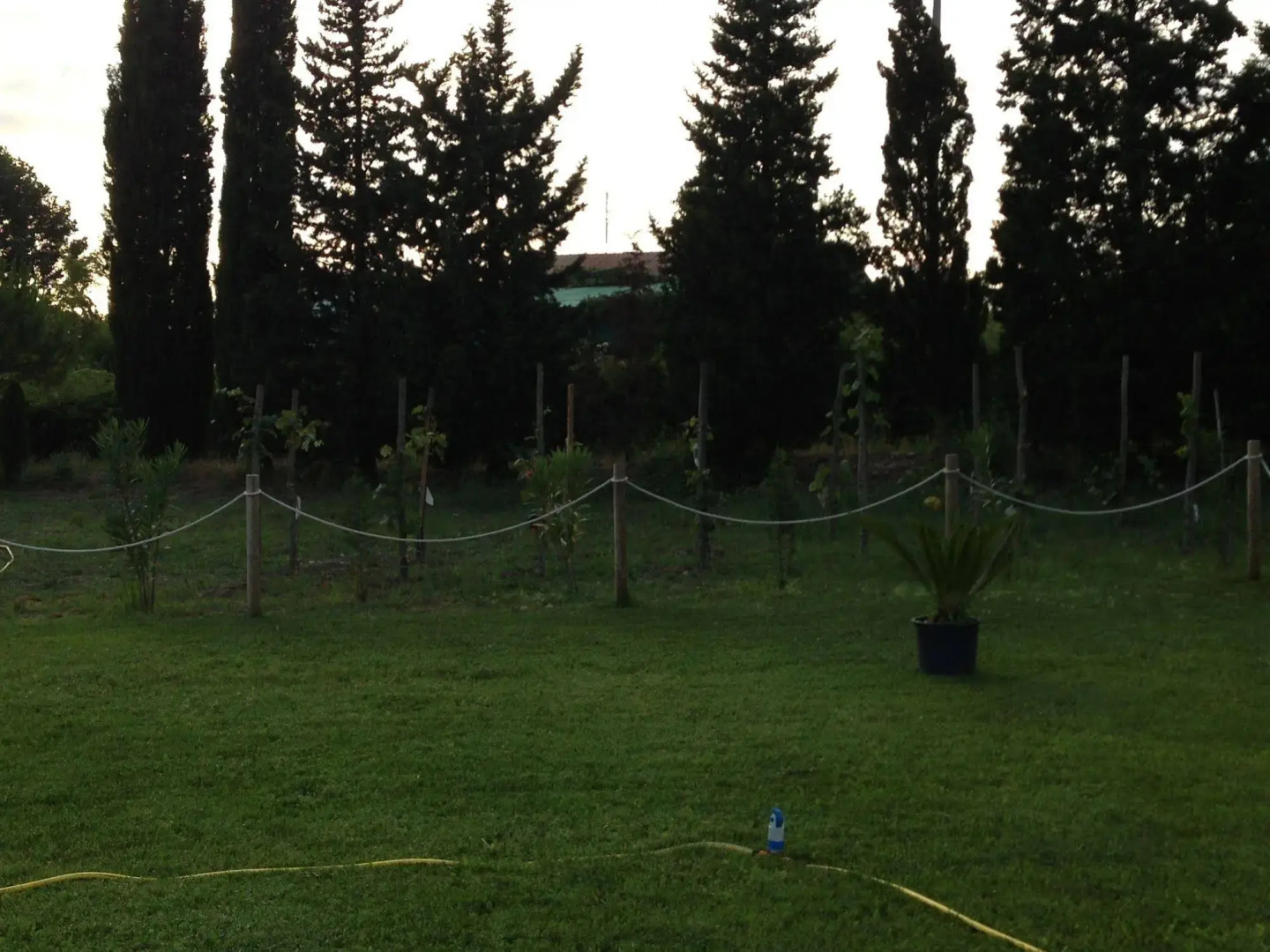 Villa Antonia Castellabate