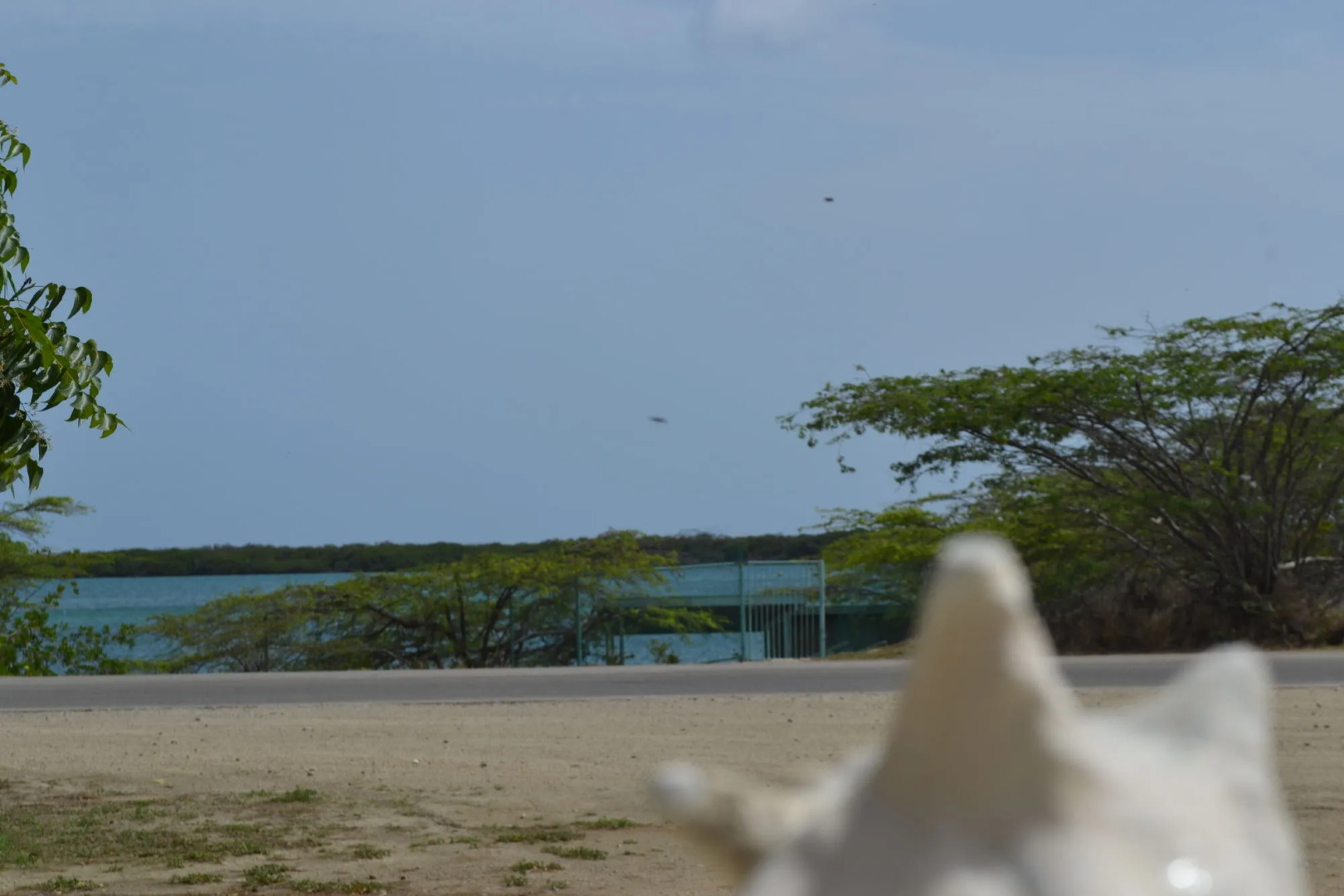 Vistalmar Ocean Suites