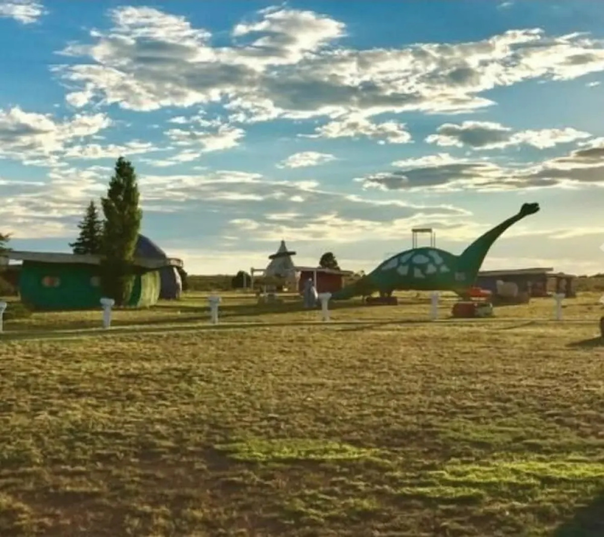 Raptor Ranch Little Owl 1