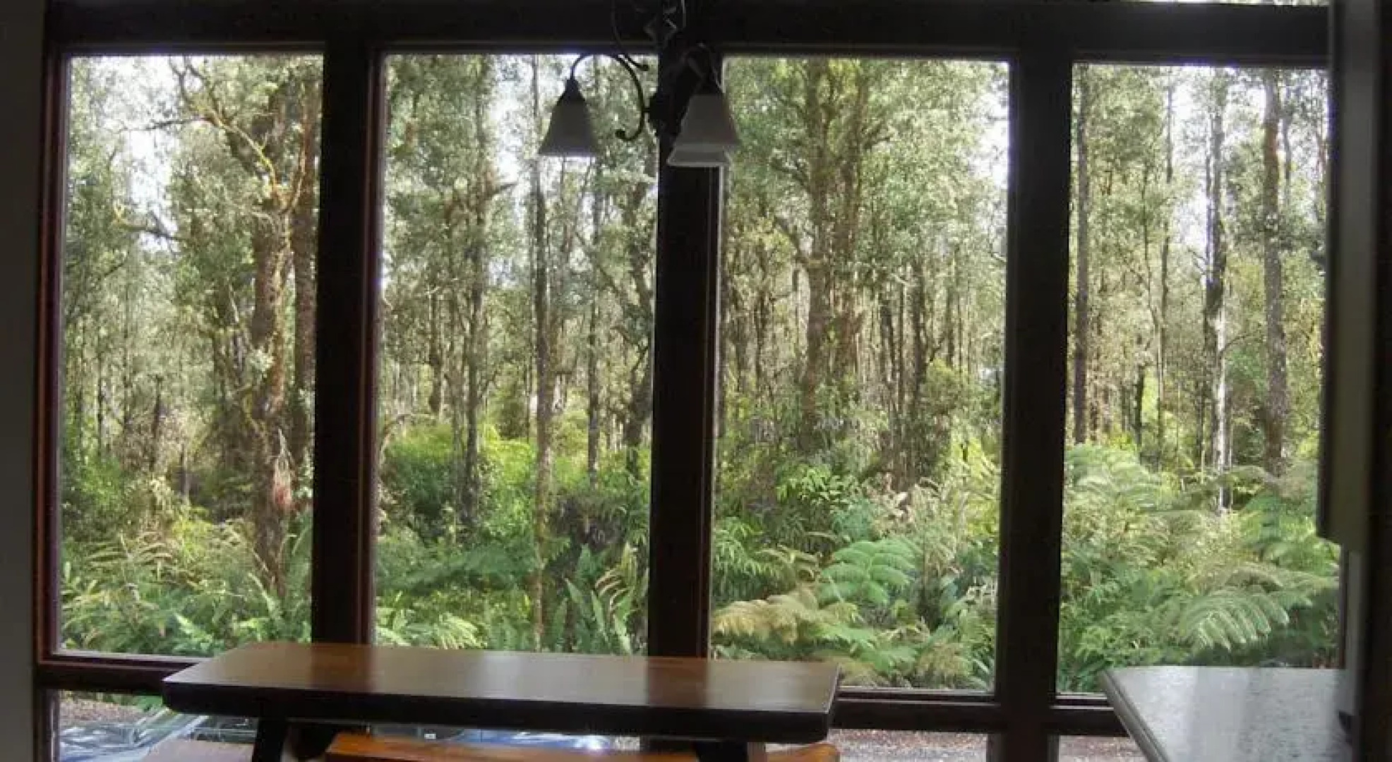 Secluded Rainforest Retreat