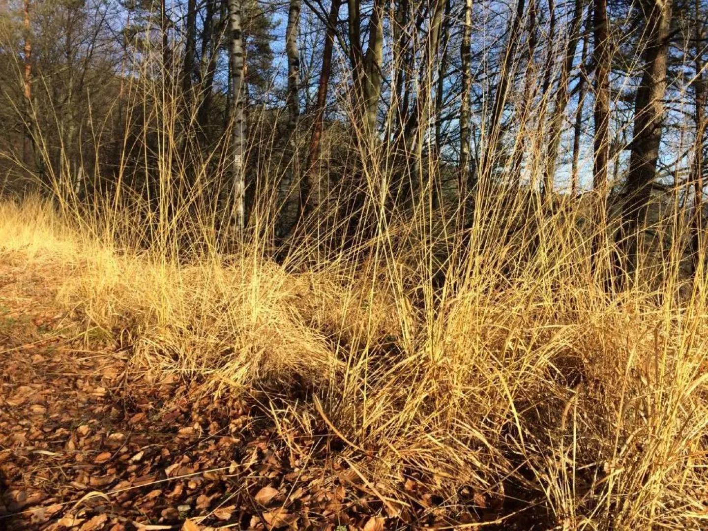 Un gîte dans la vallée