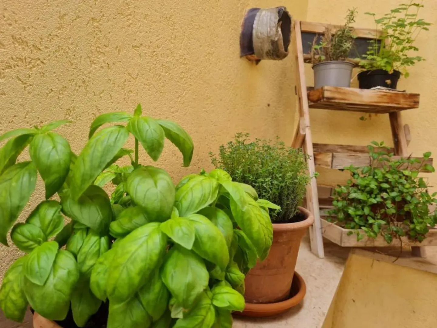 Il Bacio Del Sole (Adults Only)