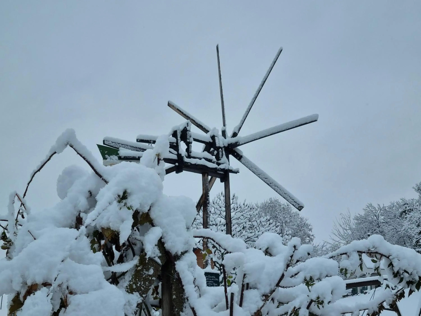 Weinstöckl Hochgrail pures sein