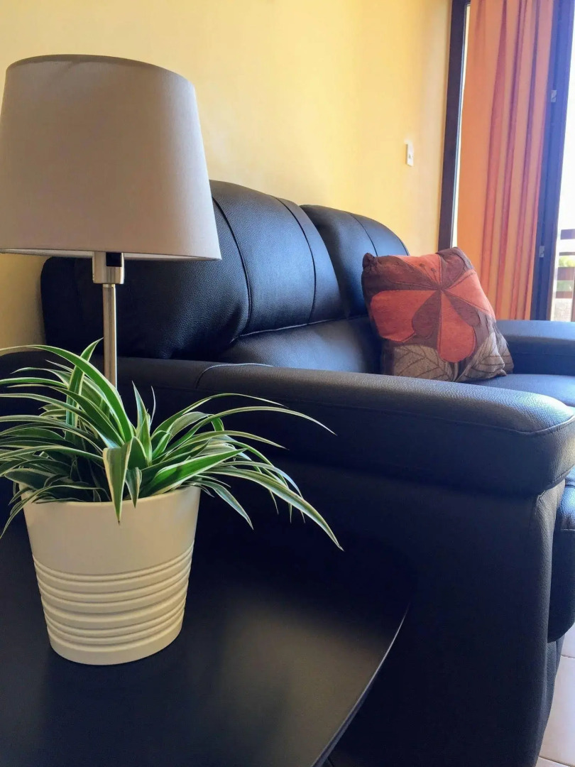 Pigeon Beach Hotel Apartments