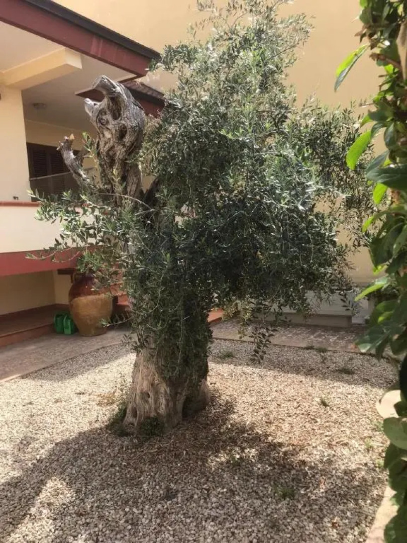 Via Grottella 81 - In Locazione Turistica