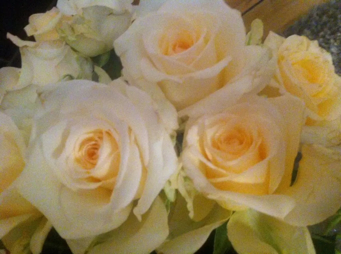 Scobie's Boutique Bed & Breakfast