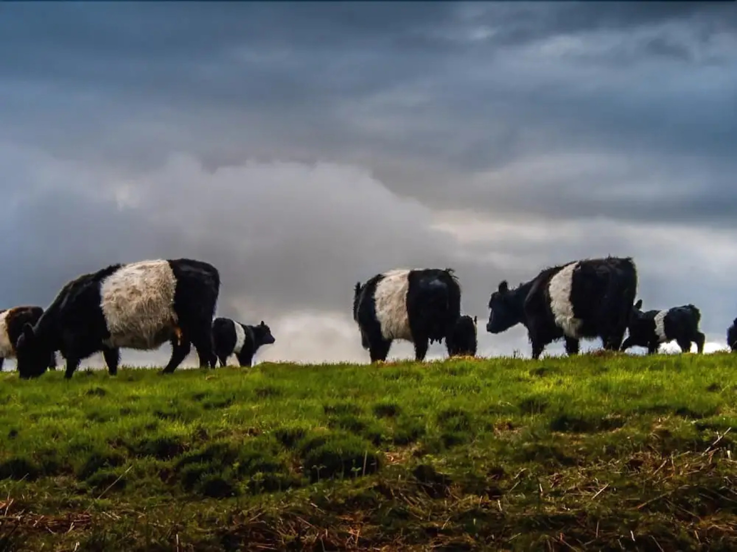 Nithbank Country Estate