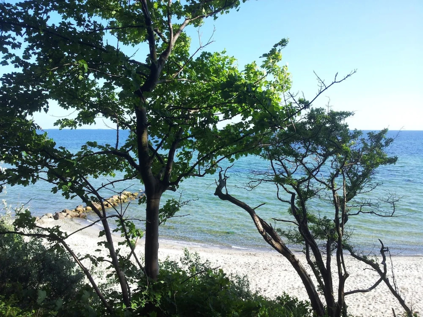 Askegaarden Apartments