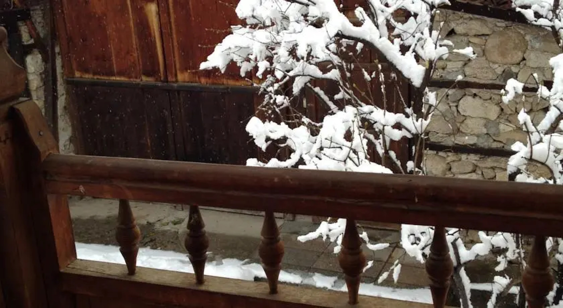 Bonchova House Guest House