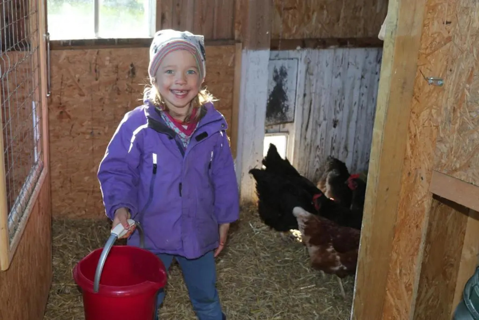 Schäferwagen Tiny House auf dem Friesenhof