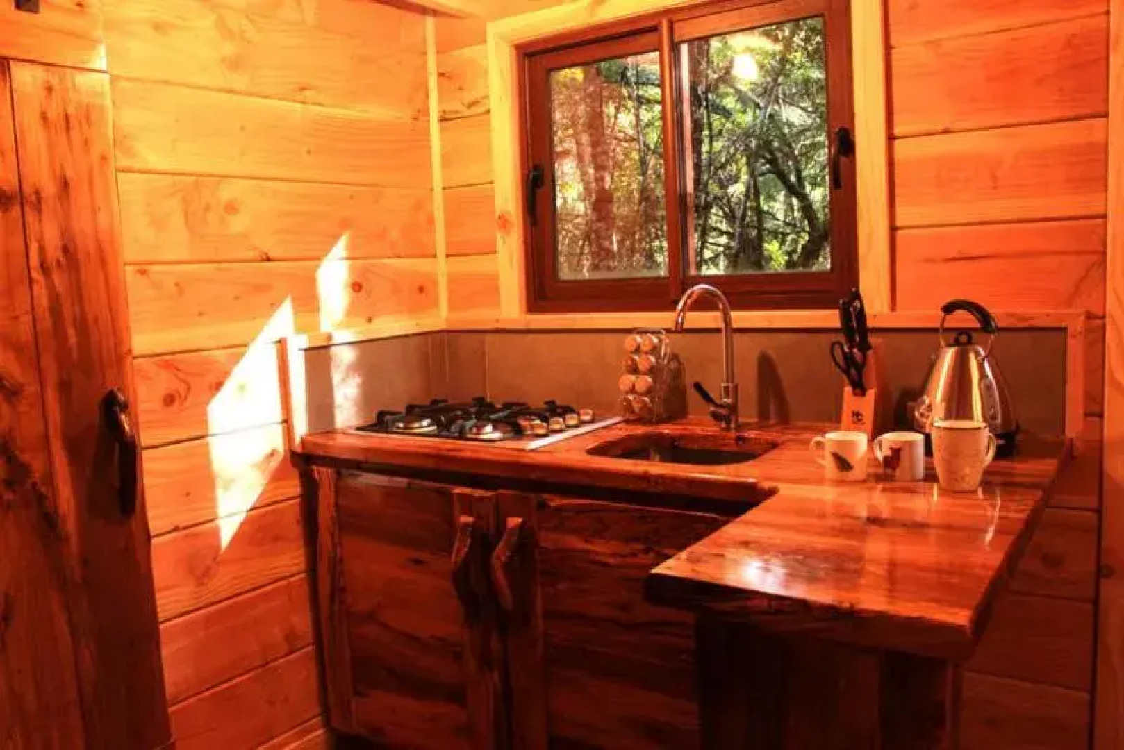 Cabanas Bosque Milenario