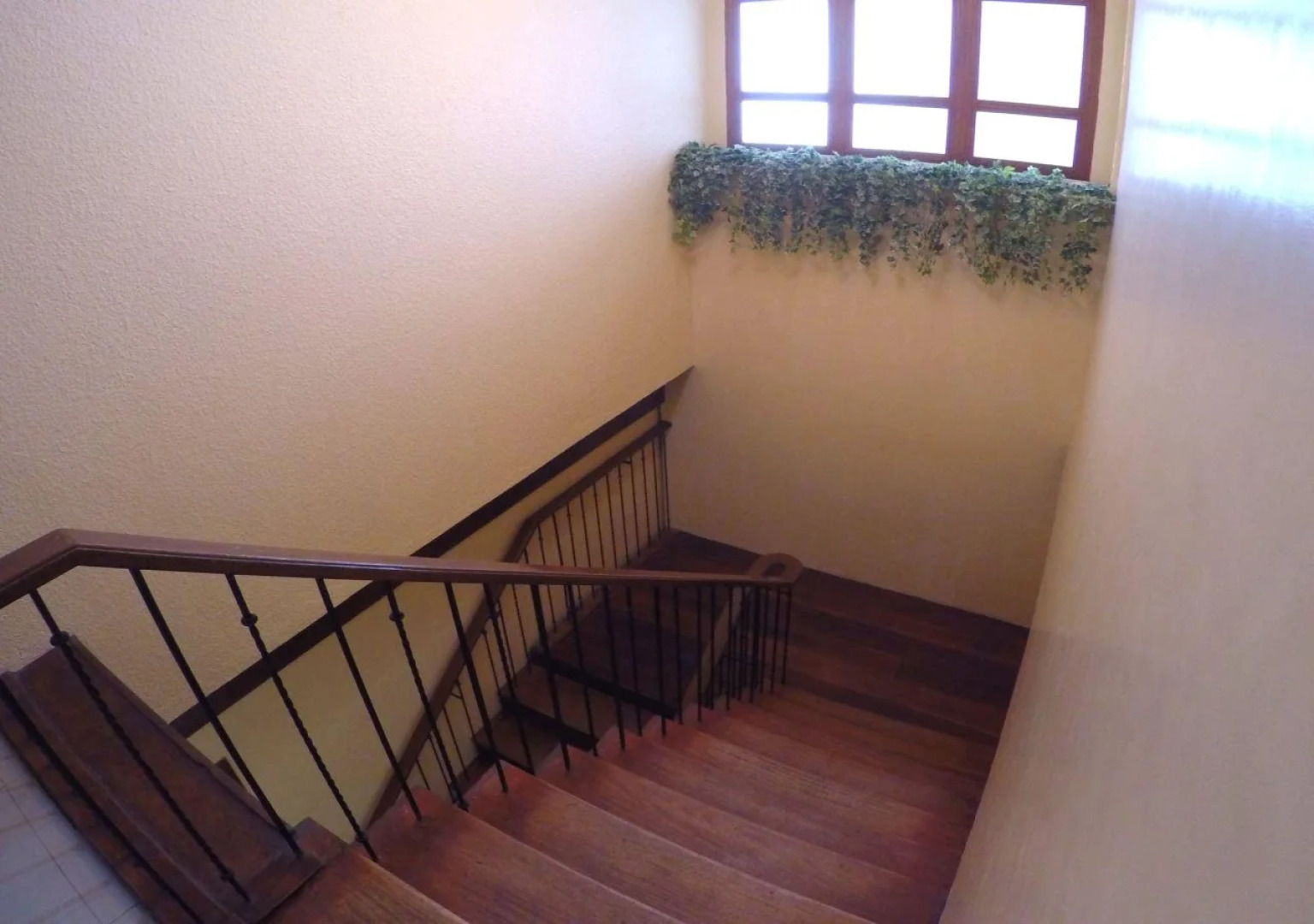 Ivory Hotel and Suites