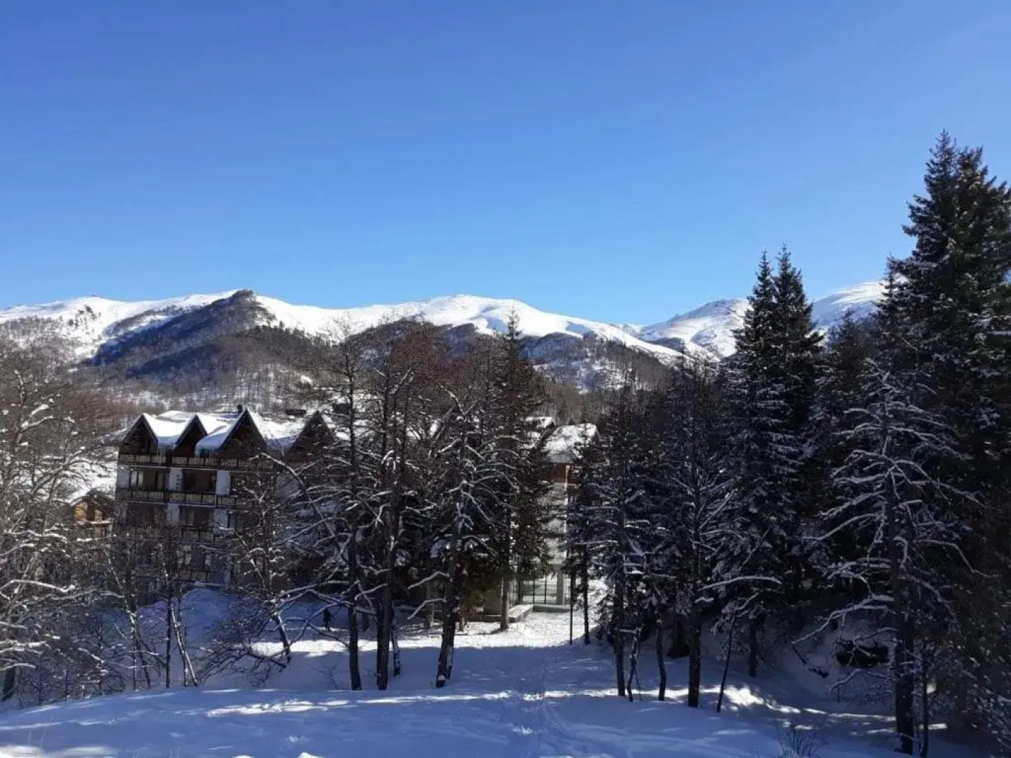 Didveli Residence, Apartment 49