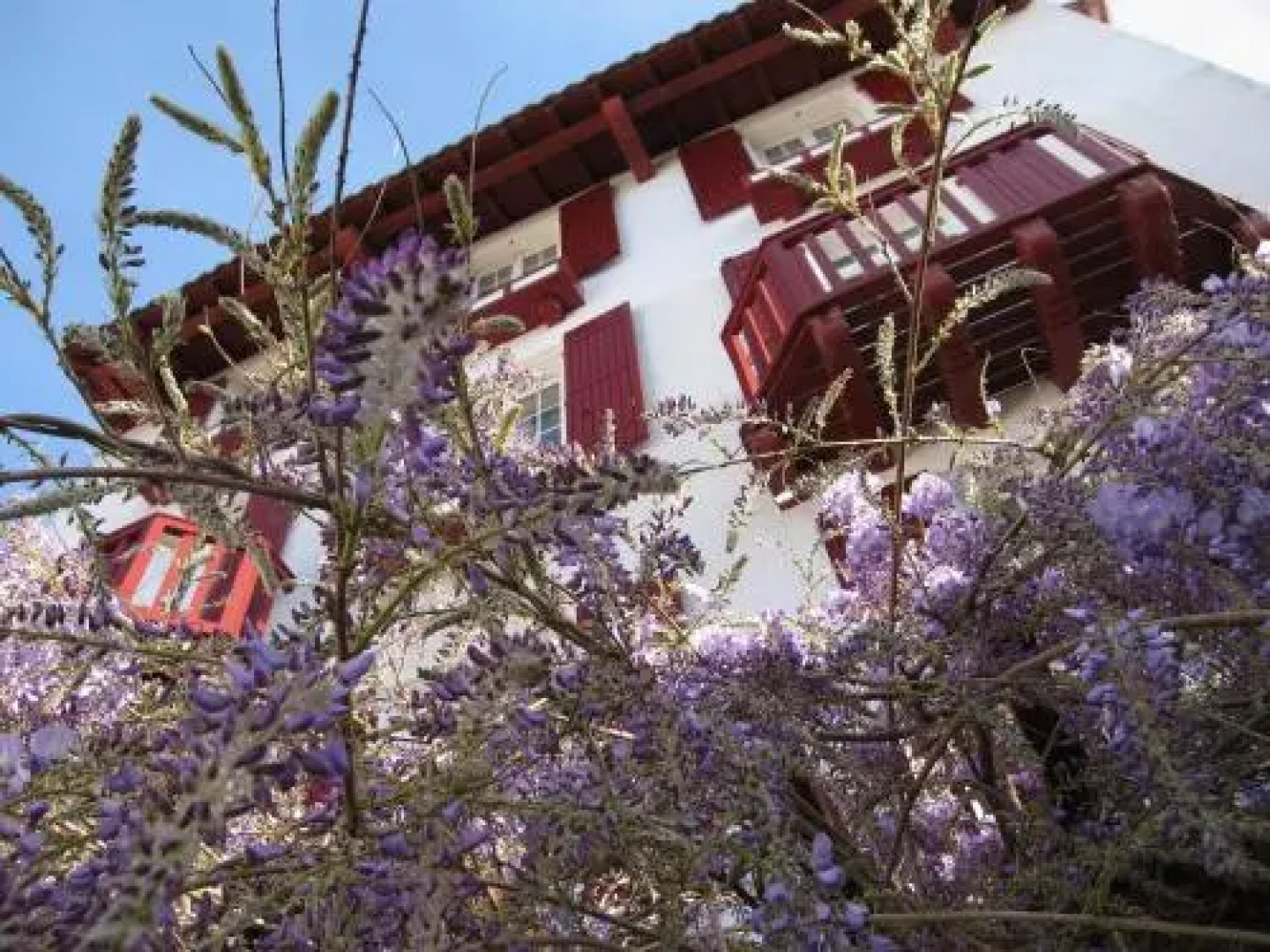 Hotel Residence Bellevue