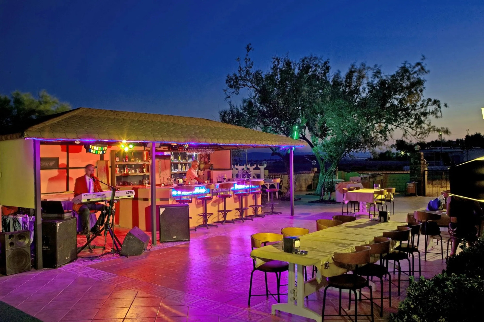 Hotel Palmera Resort