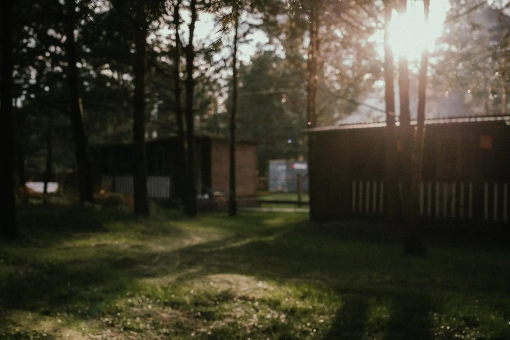 Сосновый рай