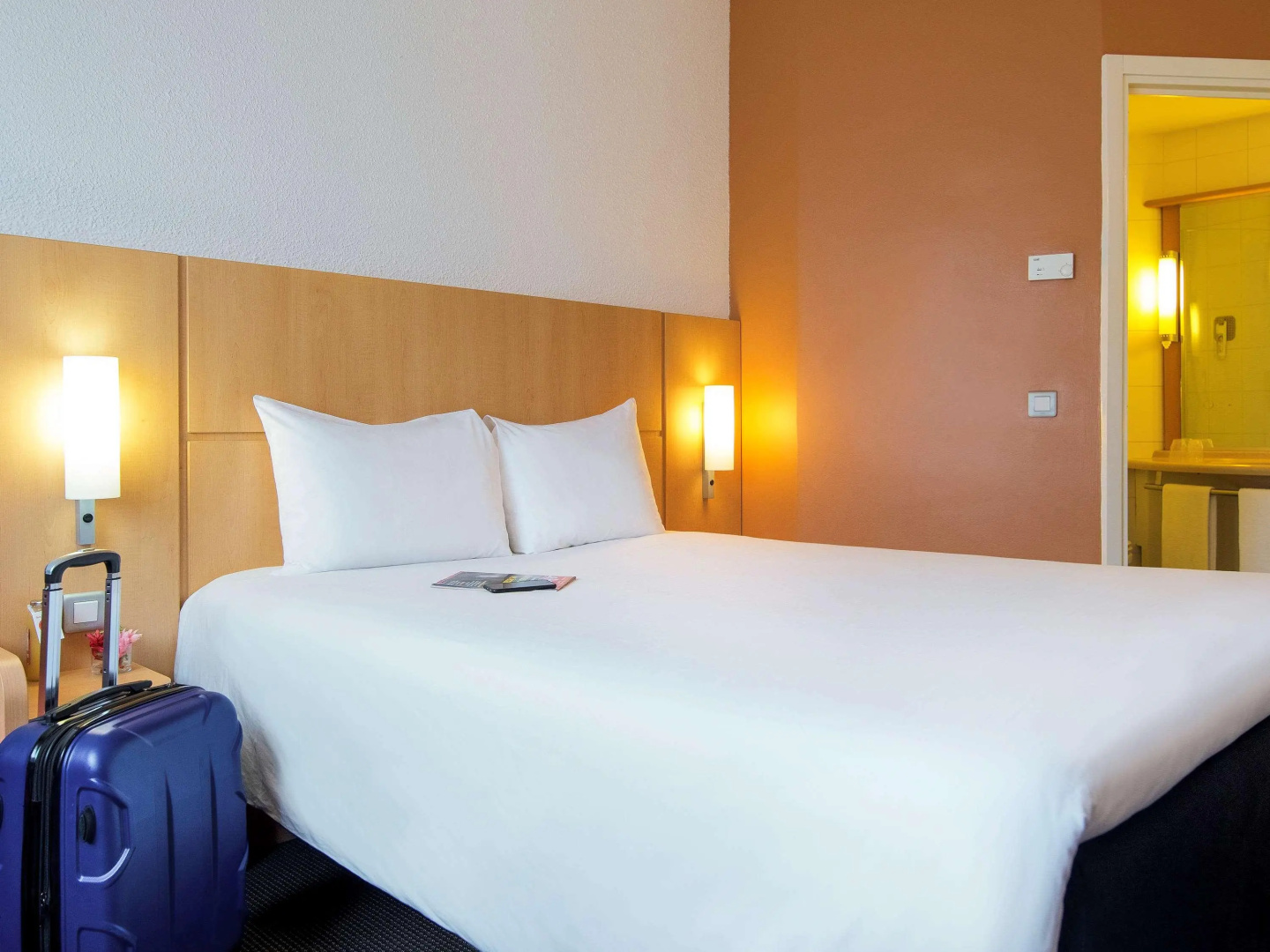 ibis Cotonou