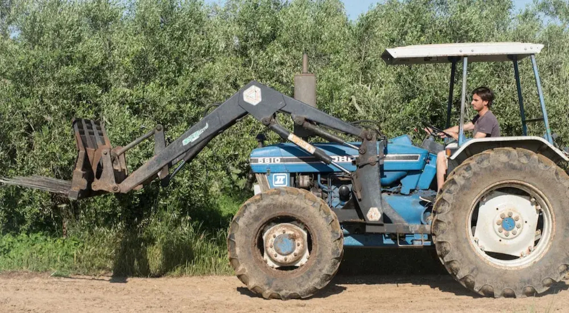 Agriturismo Al Girasole