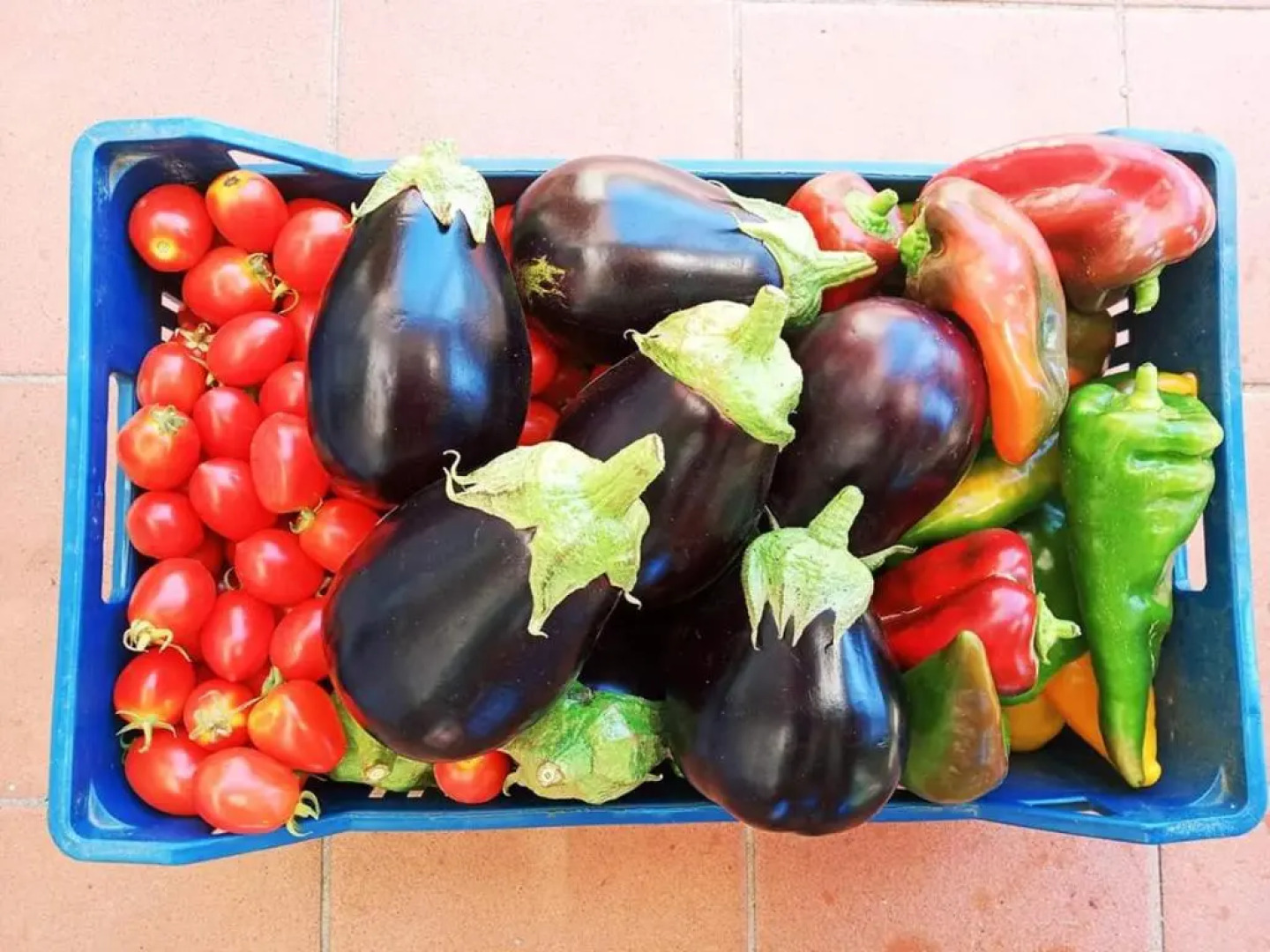 Borgo S.Maria Di Vulci