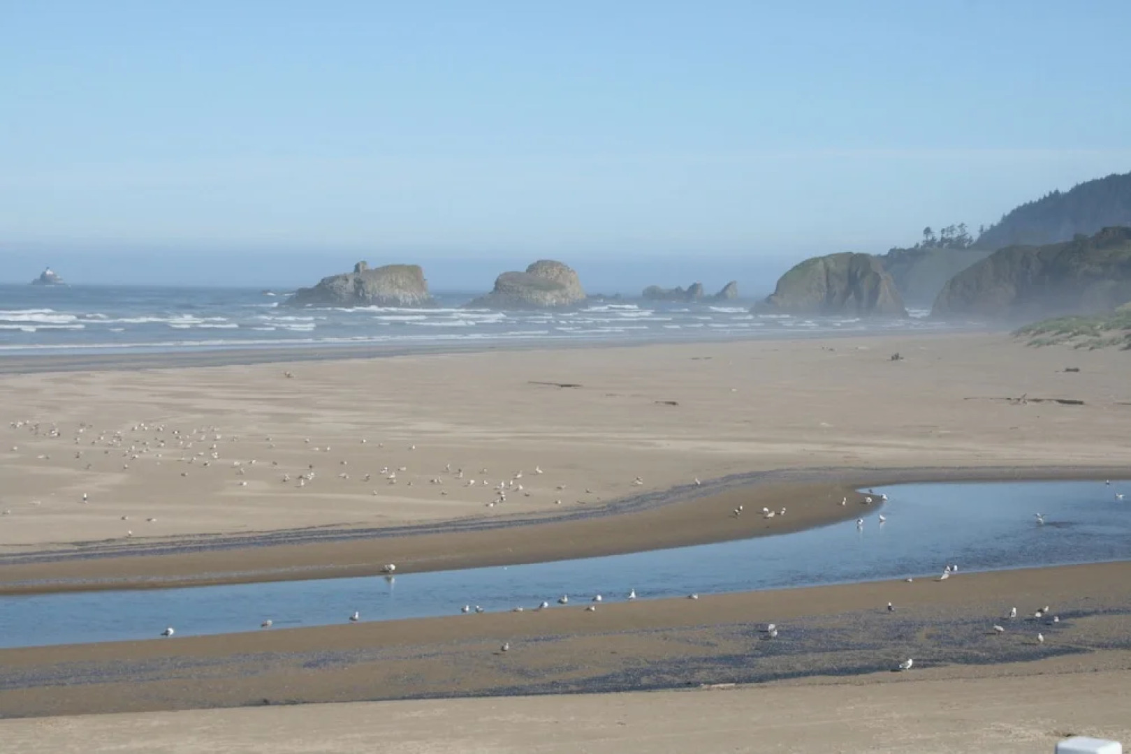 The Waves/The Argonauta Inn/The White Heron Lodge