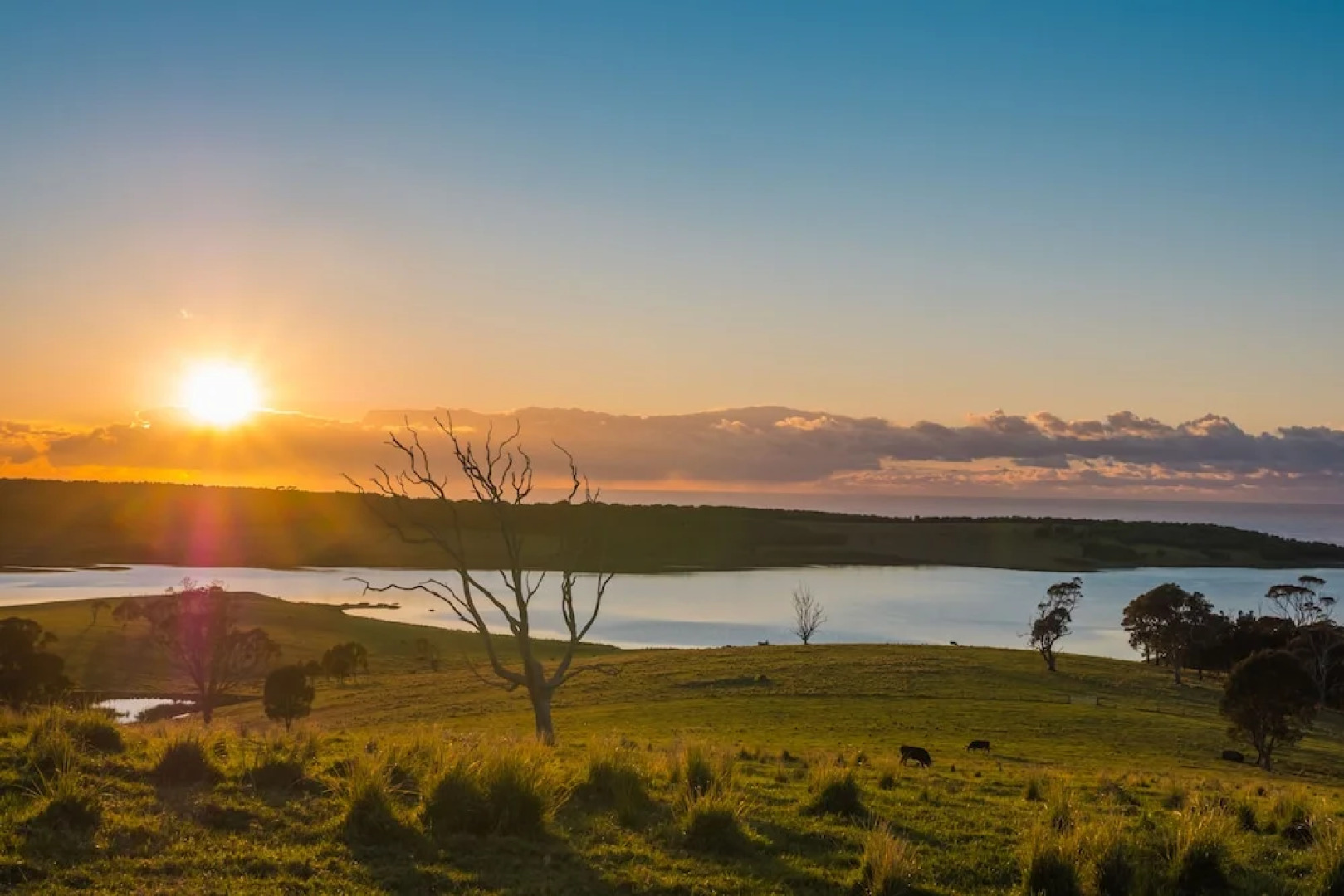 Tilba Lake Camp - Glamping