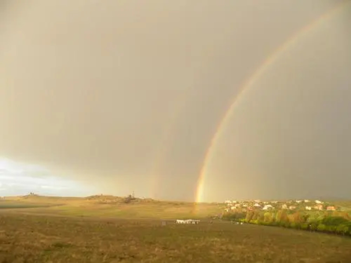 El Jardin de los Gatos Apartament