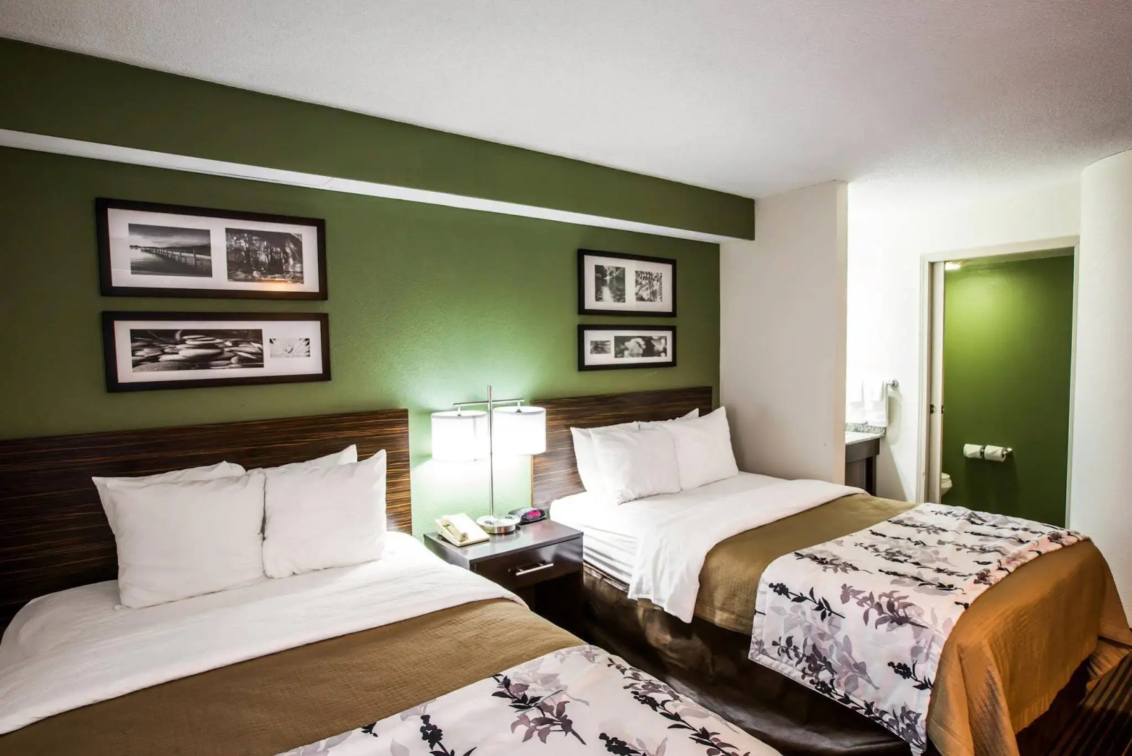 Sleep Inn & Suites Kingsport TriCities Airport