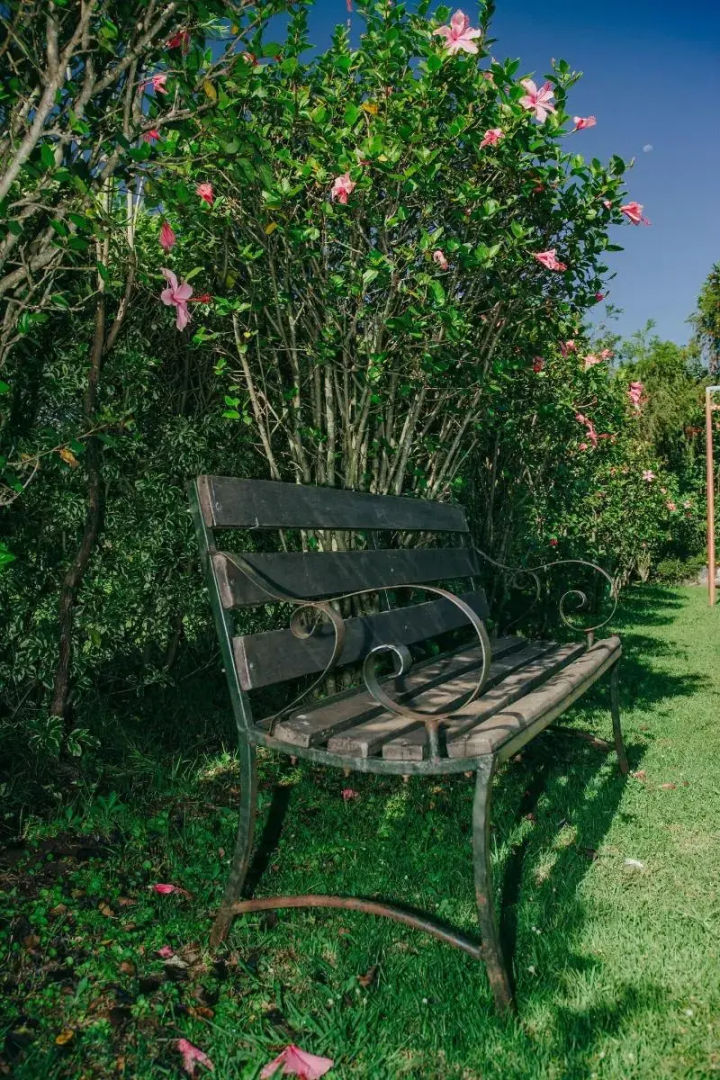 Sahara Gardens Bomet