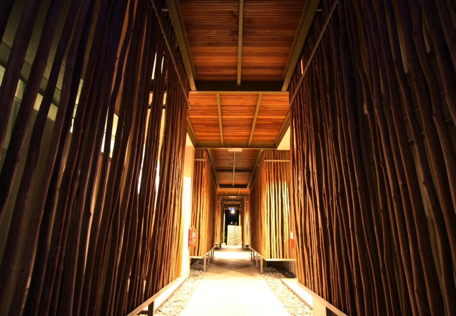 Belum Rainforest Resort