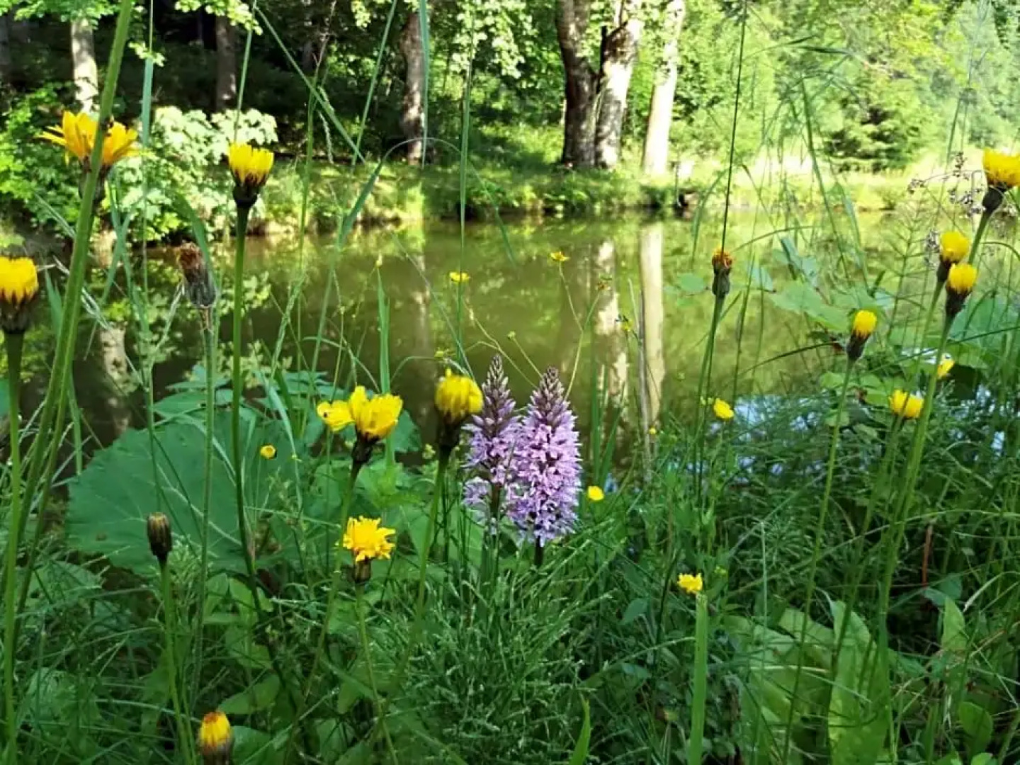 Zbojnicki Ostep-Nocleg Trapera
