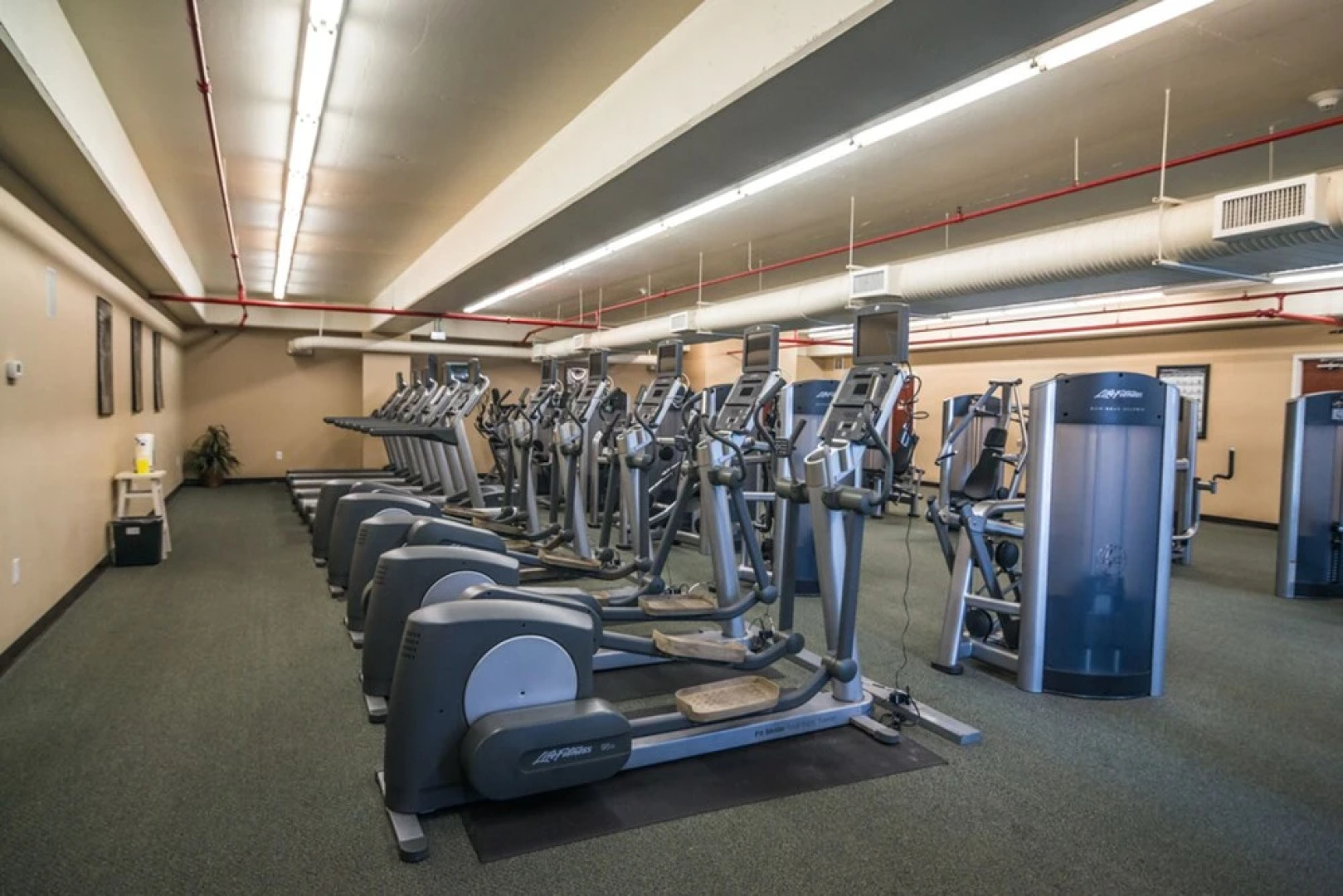 Majestic by Forehand Rentals