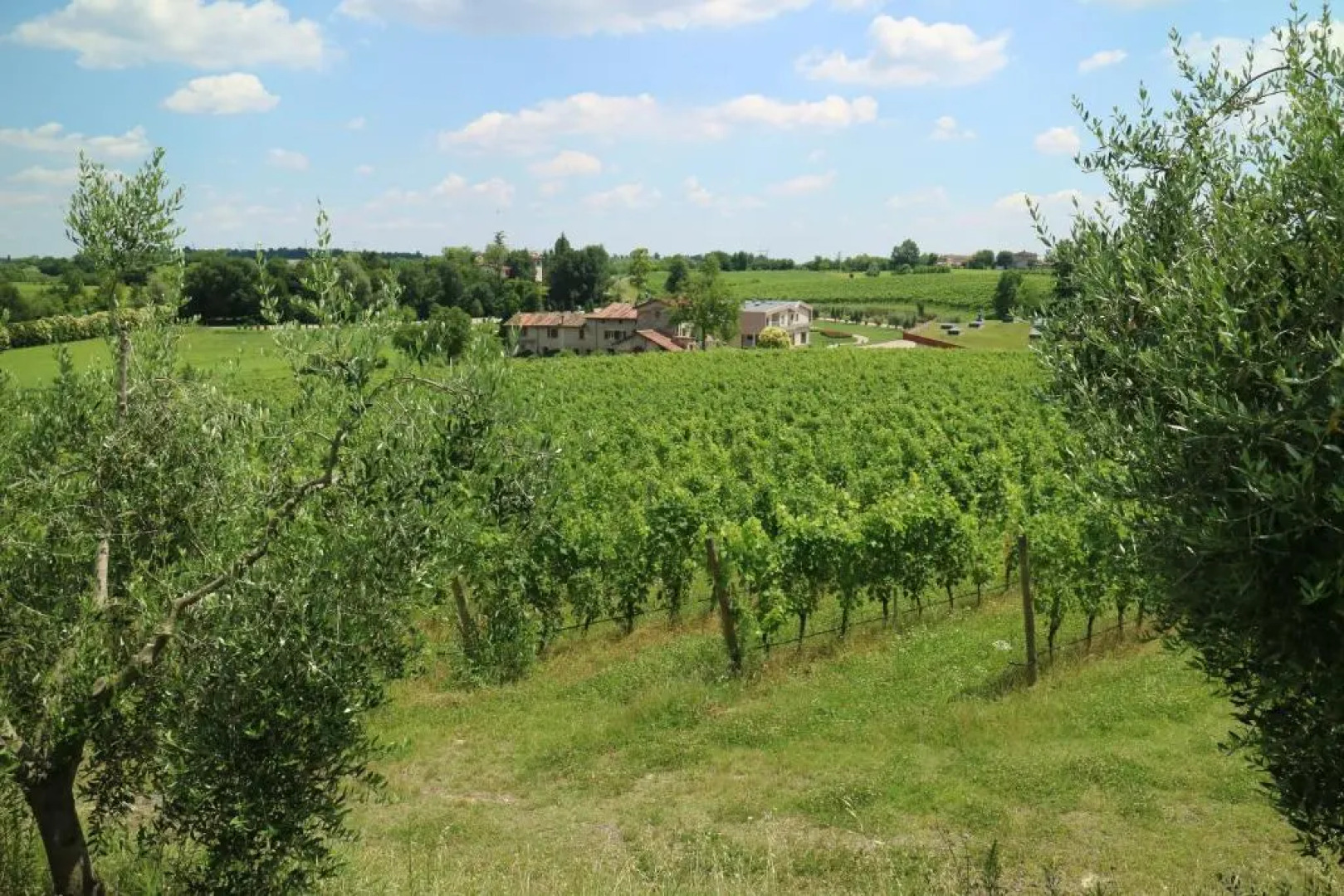 Cobue Wine Resort & SPA