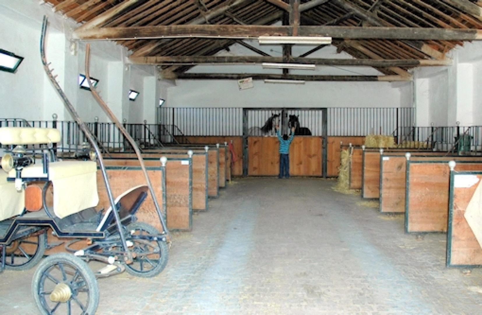 Pátio da Avó Faustina - Agroturismo