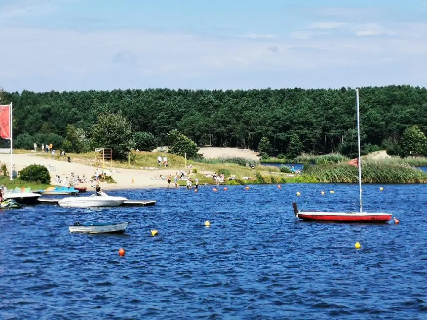 Leśny Apartament Nad Zalewem